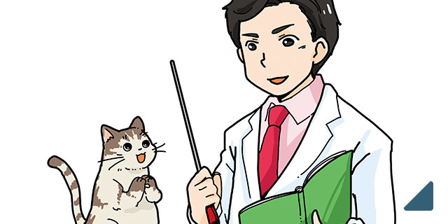 アイシア　ミャウミャウ　リーフレット