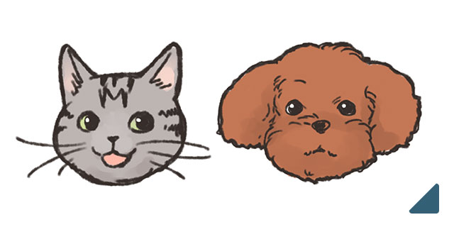 アイシア　フードイラスト