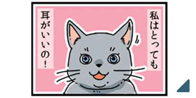 アイシア　ミャウミャウ　うちのこリラックスできてるかな？
