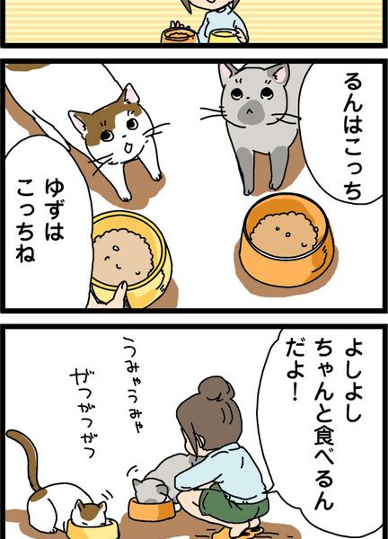 アイシア　さちこさんとるんとゆず　4コマ漫画