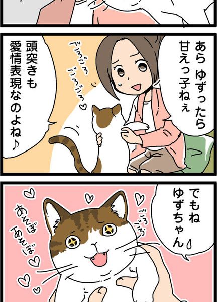 アイシア　さちこさんとるんとゆず　4コマ漫画