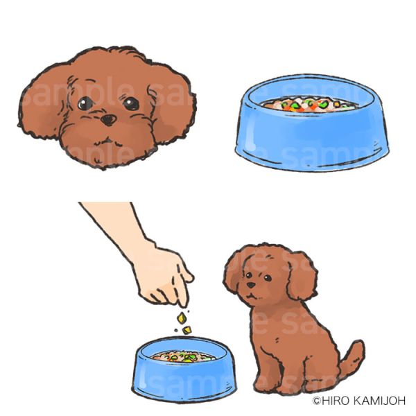 アイシア フリーズドライフードイラスト