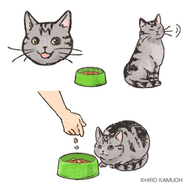 アイシア フリーズドライフードイラスト