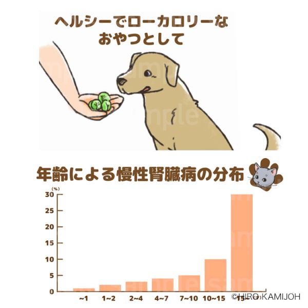 アイシア フリーズドライフードイラスト