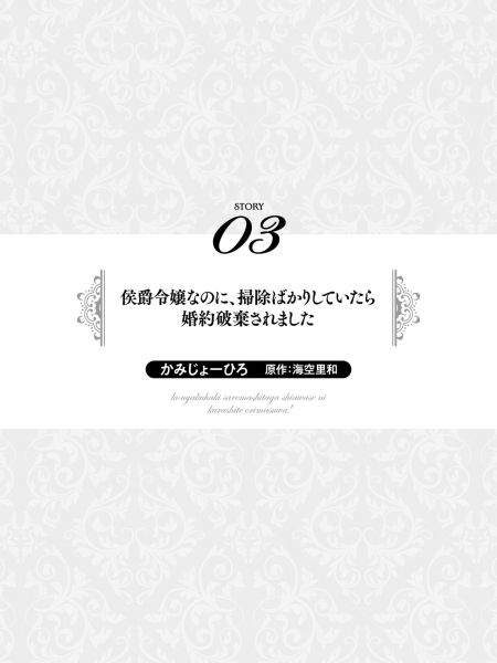 侯爵令嬢なのに、掃除ばかりしていたら婚約破棄されました