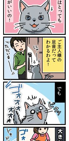 アイシア ミャウミャウ（MiawMiaw） うちのこリラックスできてるかな？