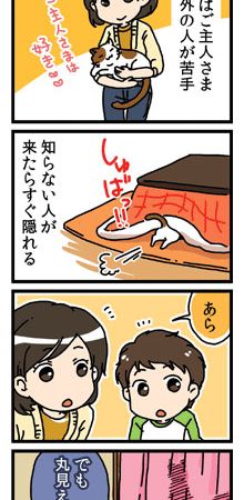アイシア ミャウミャウ（MiawMiaw） うちのこリラックスできてるかな？