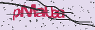 Captcha認証コード